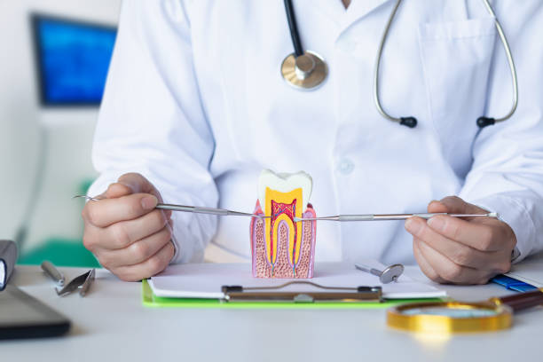 Best Emergency Root Canal Treatment in Ferry Pass, FL